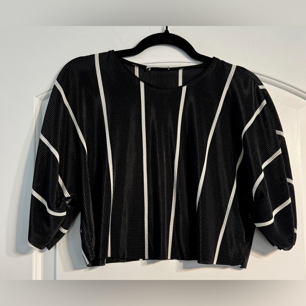 Zara Black and White Vertical Striped Blouse‎
